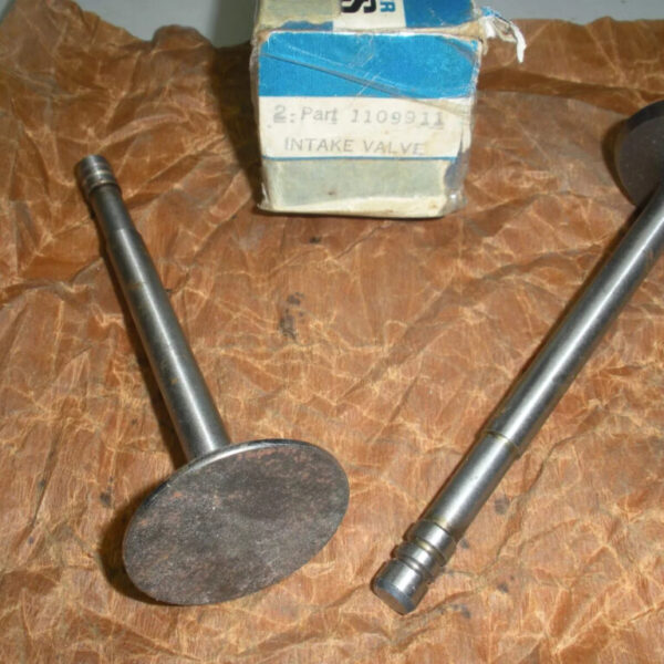 (2) Mopar Chrysler Plymouth Dodge Intake Valve 1109911